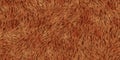 Red brown fox fuzzy fashion creative. Wool texture. Fur background. Warm surface. Hairy pattern. Furry backdrop. Wild animal Royalty Free Stock Photo