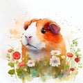 A red-brown guinea pig sits on a chamomile field. Funny guinea pig watercolor.