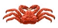 Red brown king crab isolated on white background Royalty Free Stock Photo
