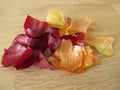 Red and brown onion peel Royalty Free Stock Photo