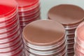 Red and brown petri dishes stacks in microbiology lab. Focus on stacks. Royalty Free Stock Photo