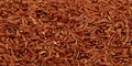 Red brown raw rice close up background Royalty Free Stock Photo