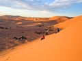 Red and brown sand dunes Royalty Free Stock Photo