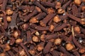 Red brown seed clove(loong india) Syzygium aromaticum Royalty Free Stock Photo