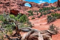 Red Brown Skyline Arch Rock Canyon Arches National Park Moab Utah Royalty Free Stock Photo