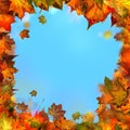 Red brown and yellow maple leaves, autumnal frame, golden autumn