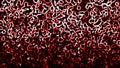 Red bubbles pattern. Eco water background. Boiling water bubbles. Air bubble background. Fizzy water texture. Blood design fluid.