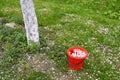 Red bucket in spring and white apple tree petals Royalty Free Stock Photo