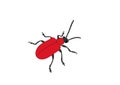 Red bug Royalty Free Stock Photo