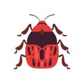 Red Bug Soldier Insect, Top View Vector Illustration Royalty Free Stock Photo