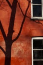 Red building part with black shadow from a tree Royalty Free Stock Photo