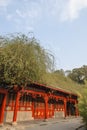 Red building with plant Royalty Free Stock Photo