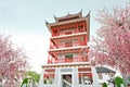 Red Building and Sakura Artificial Flowers