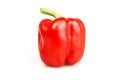 Red bulgarian pepper Royalty Free Stock Photo