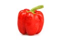 Red bulgarian pepper Royalty Free Stock Photo