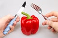 Red bulgarian pepper knife and fork Royalty Free Stock Photo