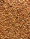 Red bulk lentils