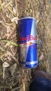 Red bull drink very nice drink