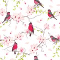 Red bullfinches on the magnolia tree vector seamless print Royalty Free Stock Photo