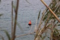 Red buoy floating on the water surface Royalty Free Stock Photo