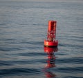 Red buoy off the coast of Cape Cod Royalty Free Stock Photo