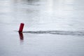 Red buoy in the river flow Royalty Free Stock Photo
