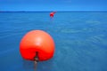 Red buoy row floating blue sea with rope closeup