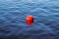 Red buoy on the water Royalty Free Stock Photo