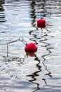 Red buoys floating on water with reflection Royalty Free Stock Photo