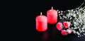 Red burning candles, white flowers on black background. The concept of mourning, sorrow, sadness