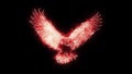 Red burning eagle animated logo loopable graphic element v2