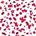 Red Butterflies and Rose Petals Royalty Free Stock Photo