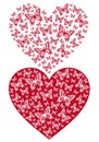Red butterfly heart, vector