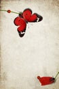 Red butterfly and ladybugs. Poppy flower. Stem with single red petal on corolla. Old texture Royalty Free Stock Photo