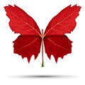 Red Butterfly Leaf