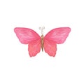 Red butterfly watercolor illustration isolated on the white background, simple hand drawn colorful clipart for cards, invitations