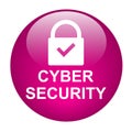Cyber secutiry icon button Royalty Free Stock Photo