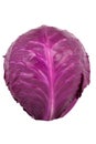 Red Cabbage Royalty Free Stock Photo
