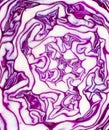 Red cabbage Royalty Free Stock Photo