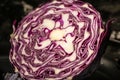 Red cabbage close-up. Homemade food concept. The texture of the cut cabbage. Food recipe background. Close up Royalty Free Stock Photo