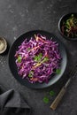 Red cabbage coleslaw Royalty Free Stock Photo