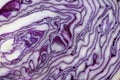 Red cabbage cut in half closeup. Royalty Free Stock Photo