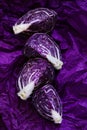 Red cabbage cut pieces close-up on a crumpled purple background.Fresh farm organic vegetables Royalty Free Stock Photo