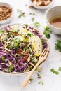 Red cabbage, Green Apple, Almond Coleslaw Salad. Summer Salad Royalty Free Stock Photo