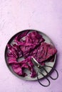 Red cabbage leaves Royalty Free Stock Photo