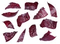 Red cabbage leaves falling on background Royalty Free Stock Photo