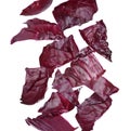 Red cabbage leaves falling on background Royalty Free Stock Photo