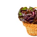 Red cabbage lettuce in basket.