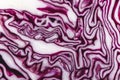 Red cabbage macro background. Texture of the cut cabbage. Royalty Free Stock Photo