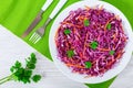 Red cabbage salad with carrots and parsley on white dish Royalty Free Stock Photo